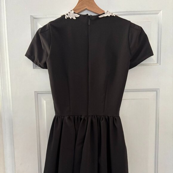 Deandri Roselle Lace Collar Dress - Picture 4 of 6